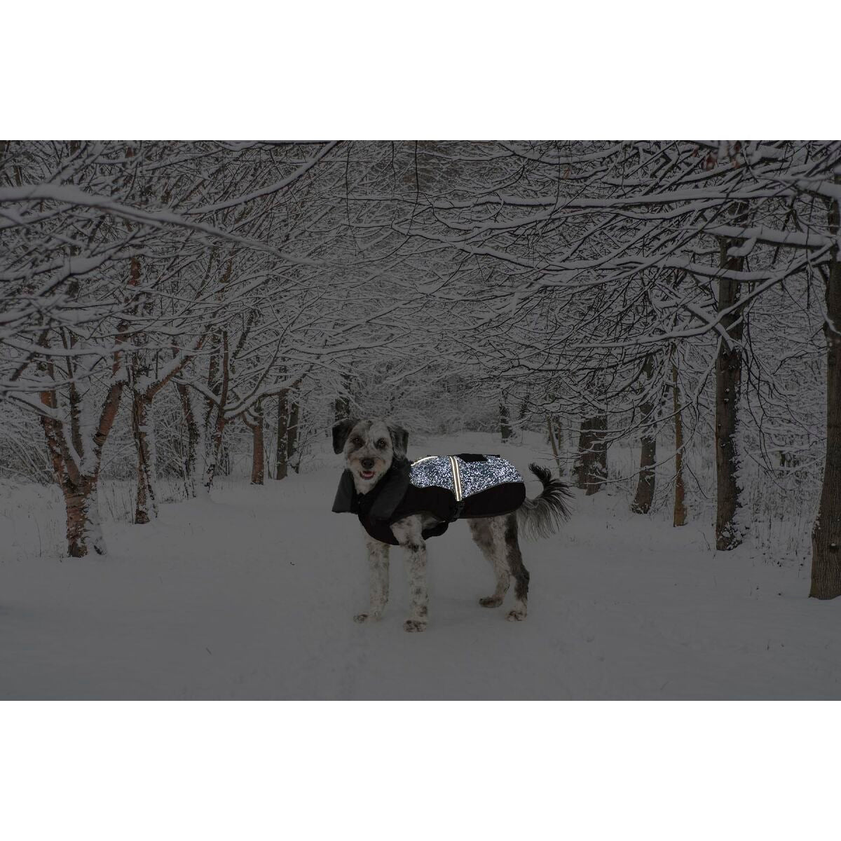 Dog Coat Dog Gone Smart Black 30 cm-9