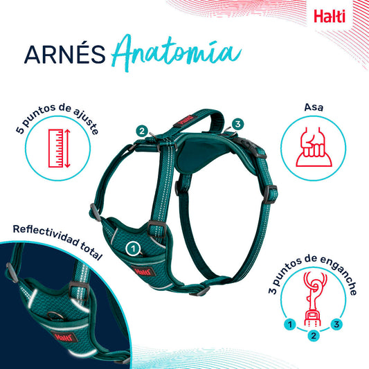 V6H8021CC021F1AE77D827A523A1520BA90R5328450P2