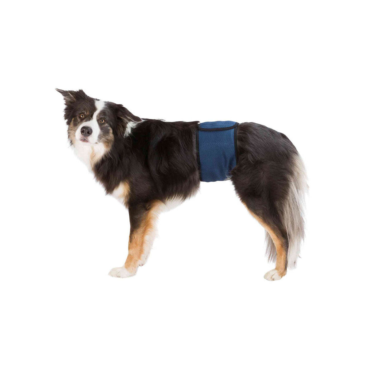 Incontinence Protector Trixie 55-65 cm Male Plug Abdomen-0