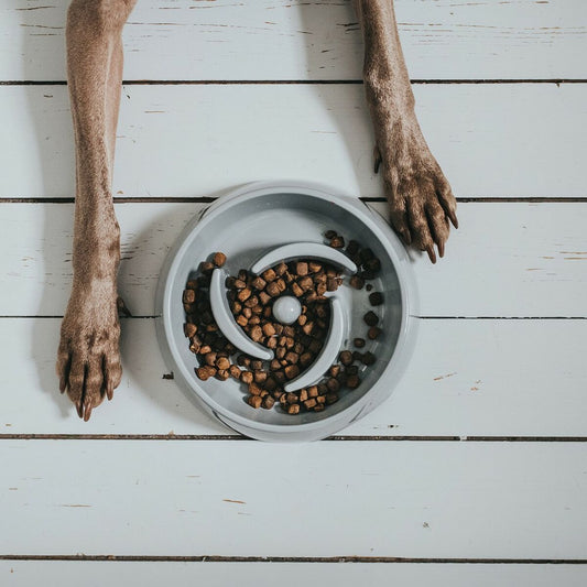 V14H8BB5ADE5524F0CE7D5CAD61468A0A3D1R6574157P2