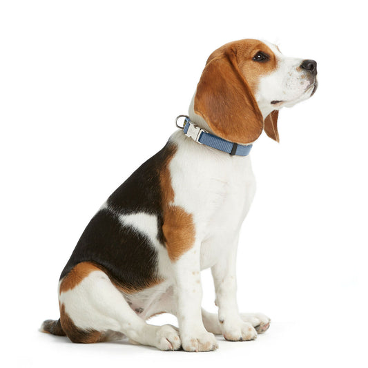 V5H58DB52759916AE03647876A6130F1AE7R5582614P2