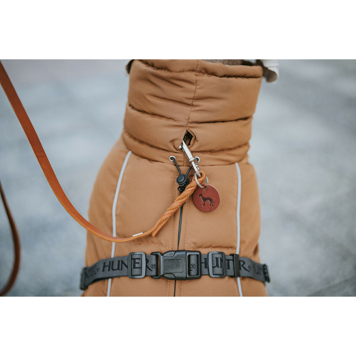 V5H133586DD7D1D95F6CD5F1E4048D9C555R5575953P7