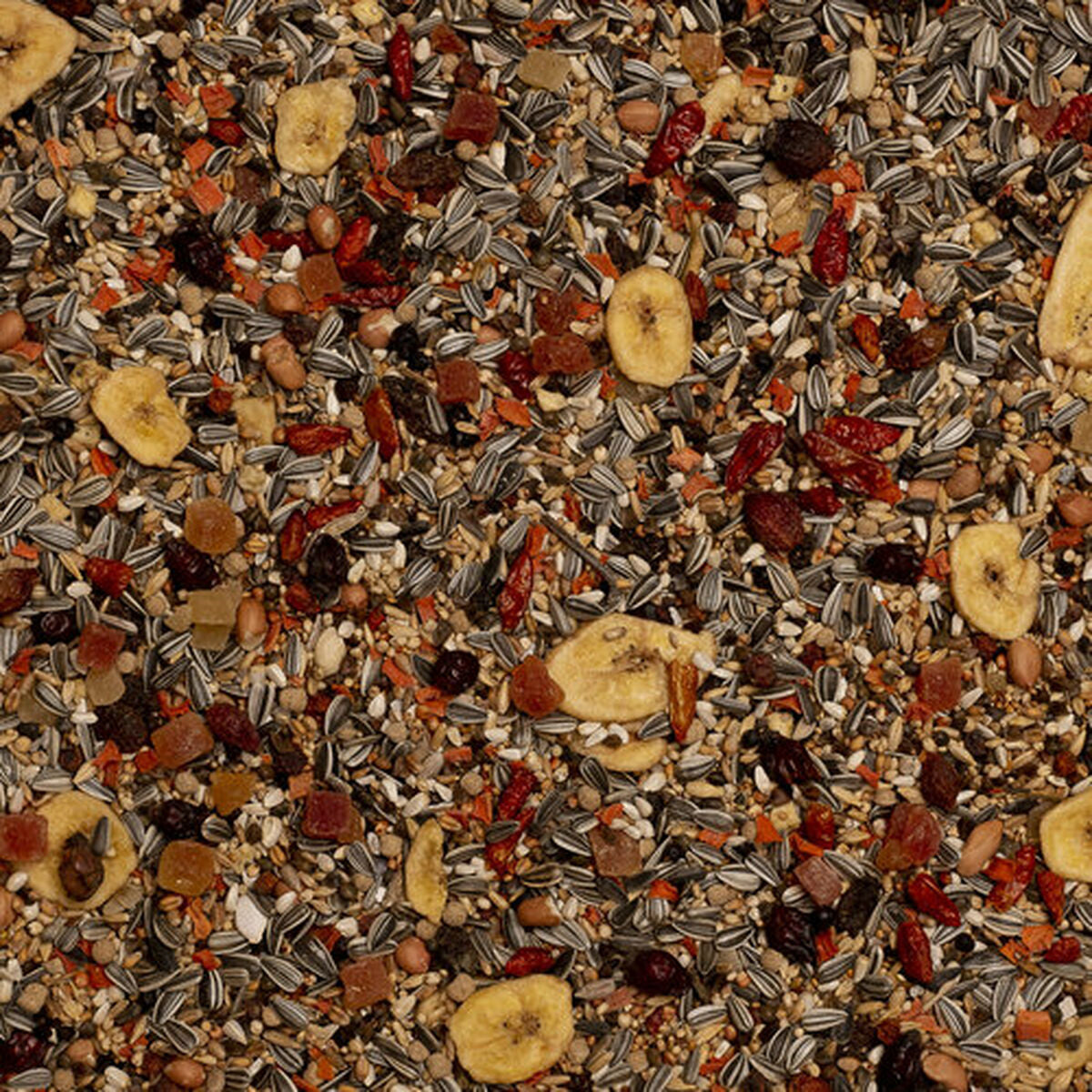 V7H1B1001C35BCD25DA7C52F5A0E0190F7BR7450593P4