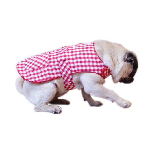 Biscuit par Doggy Doo Little