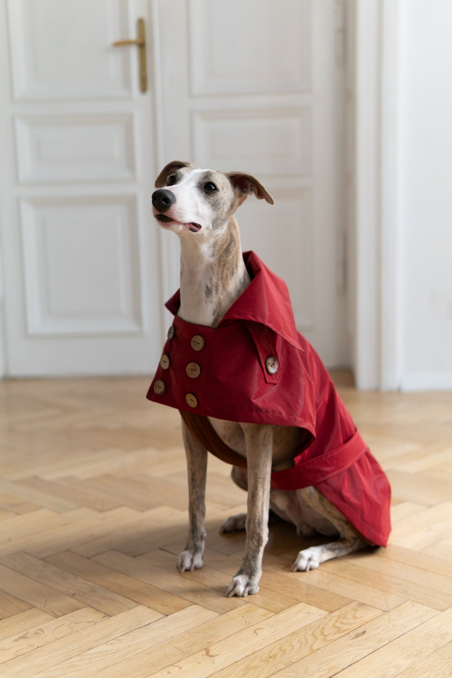 Waterafstotende Dog Trench Coat - Bordeaux Rood