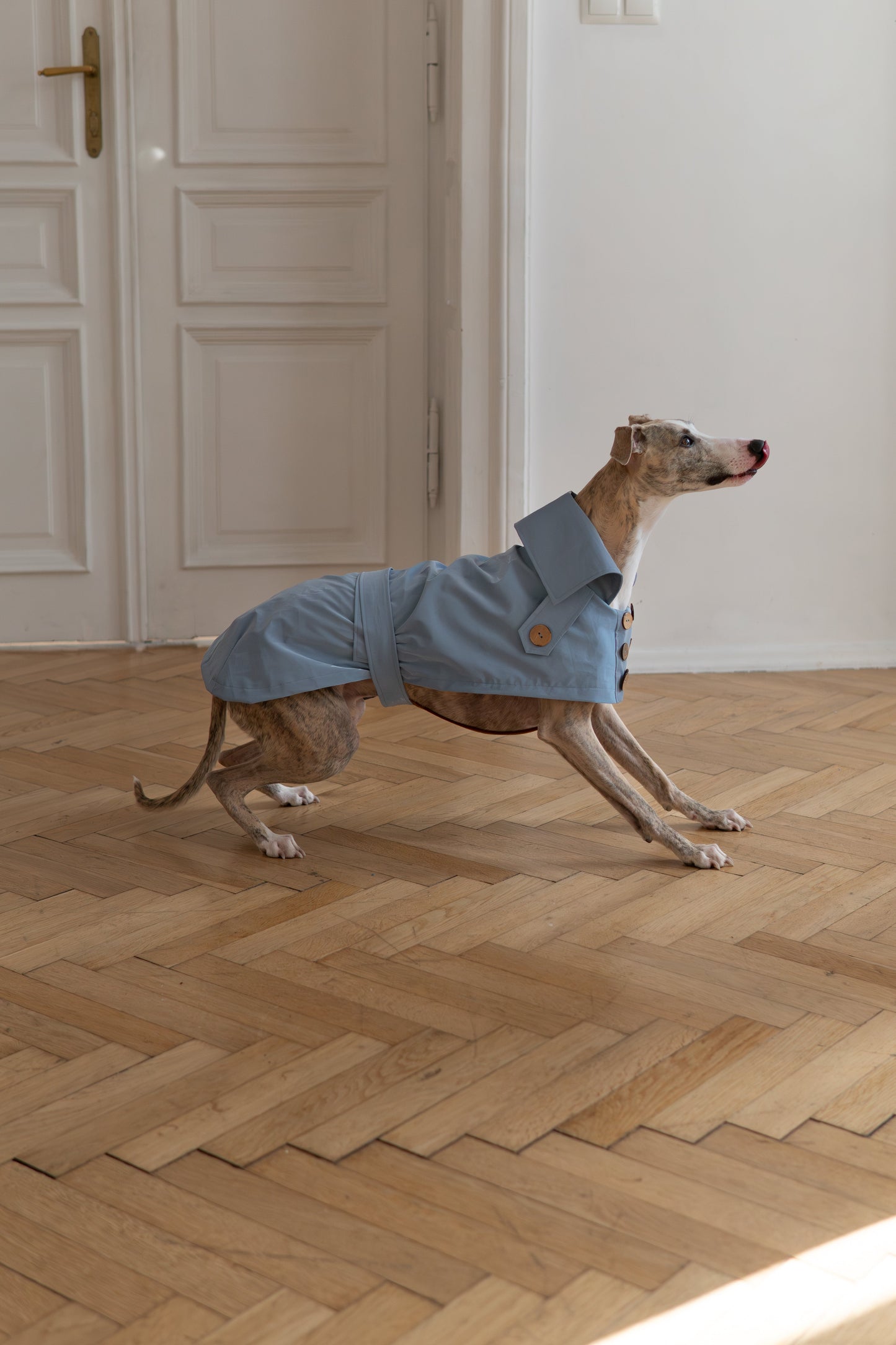 Waterafstotende Dog Trench Coat - Lichtblauw