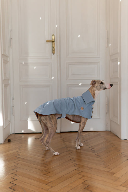 Trench-coat déperlant pour chien - Bleu clair