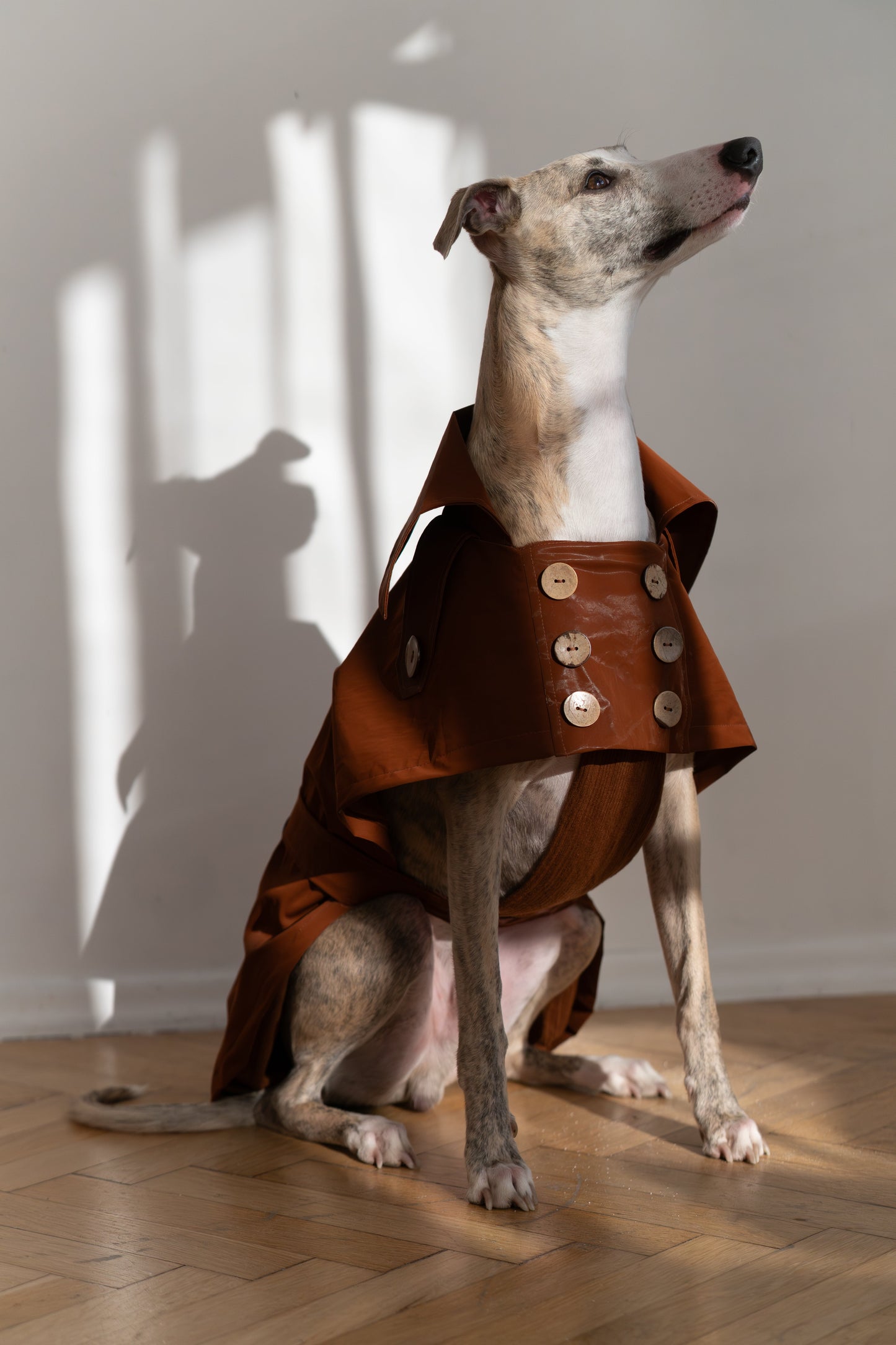 Waterafstotende Dog Trench Coat - Chocoladebruin