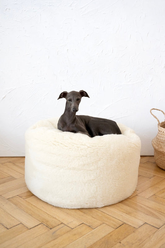 Lit ovale en laine naturelle pour animaux de compagnie - Blanc