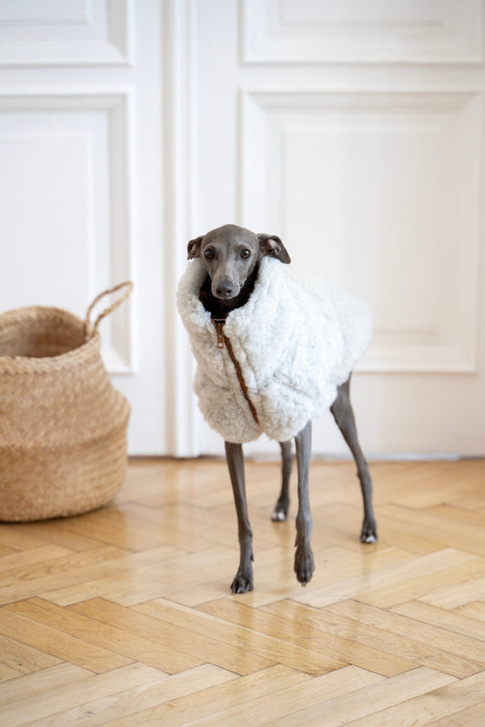 Gilet pour chien en laine - Gris clair-1