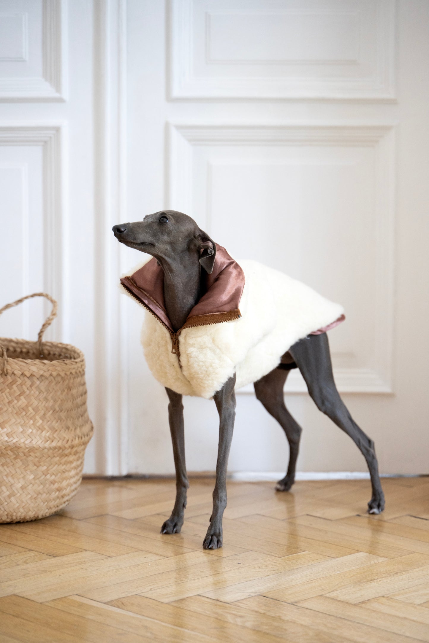 Woolen Dog Vest - White-0