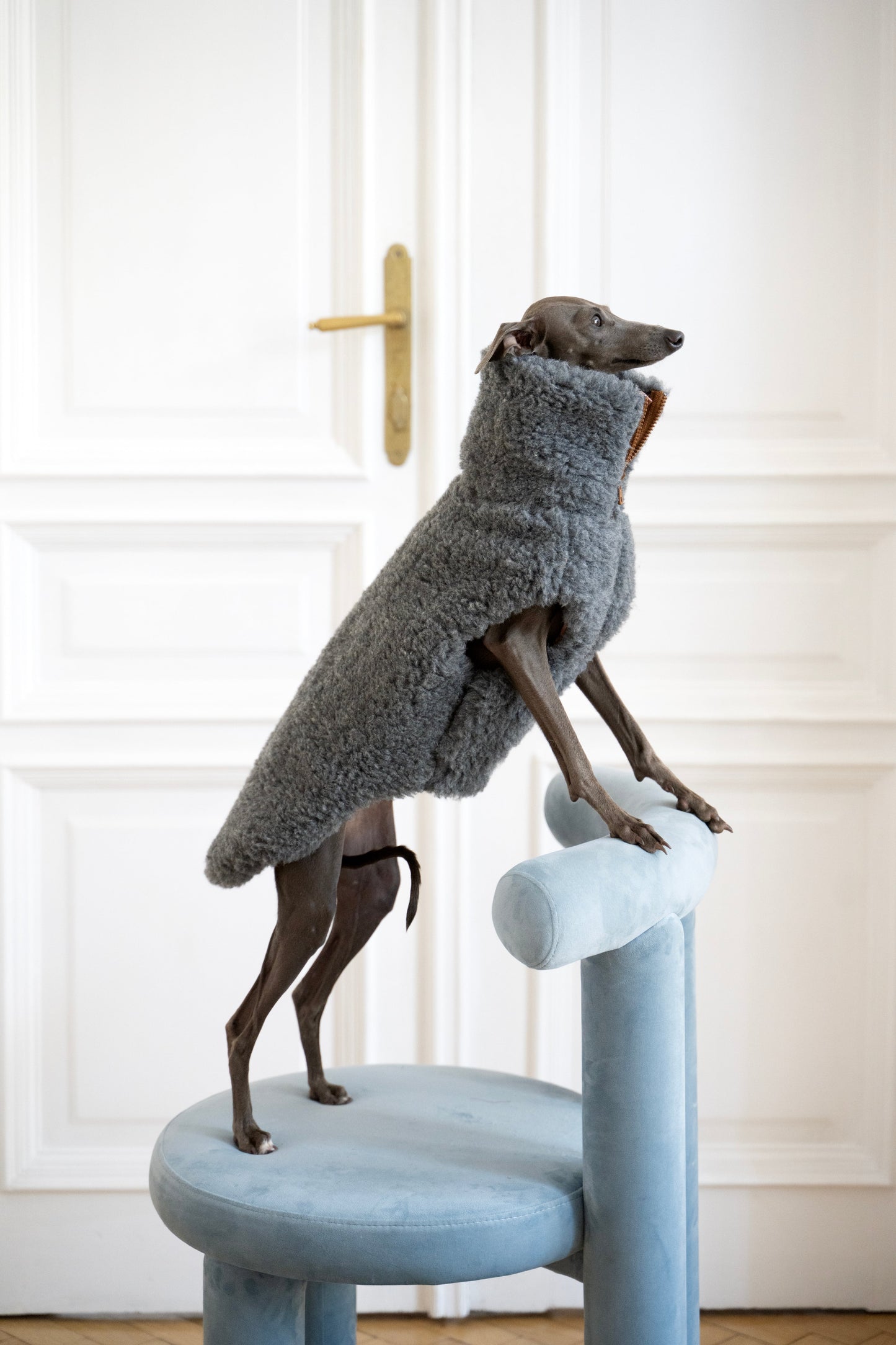 Woolen Dog Vest - Dark Grey-0