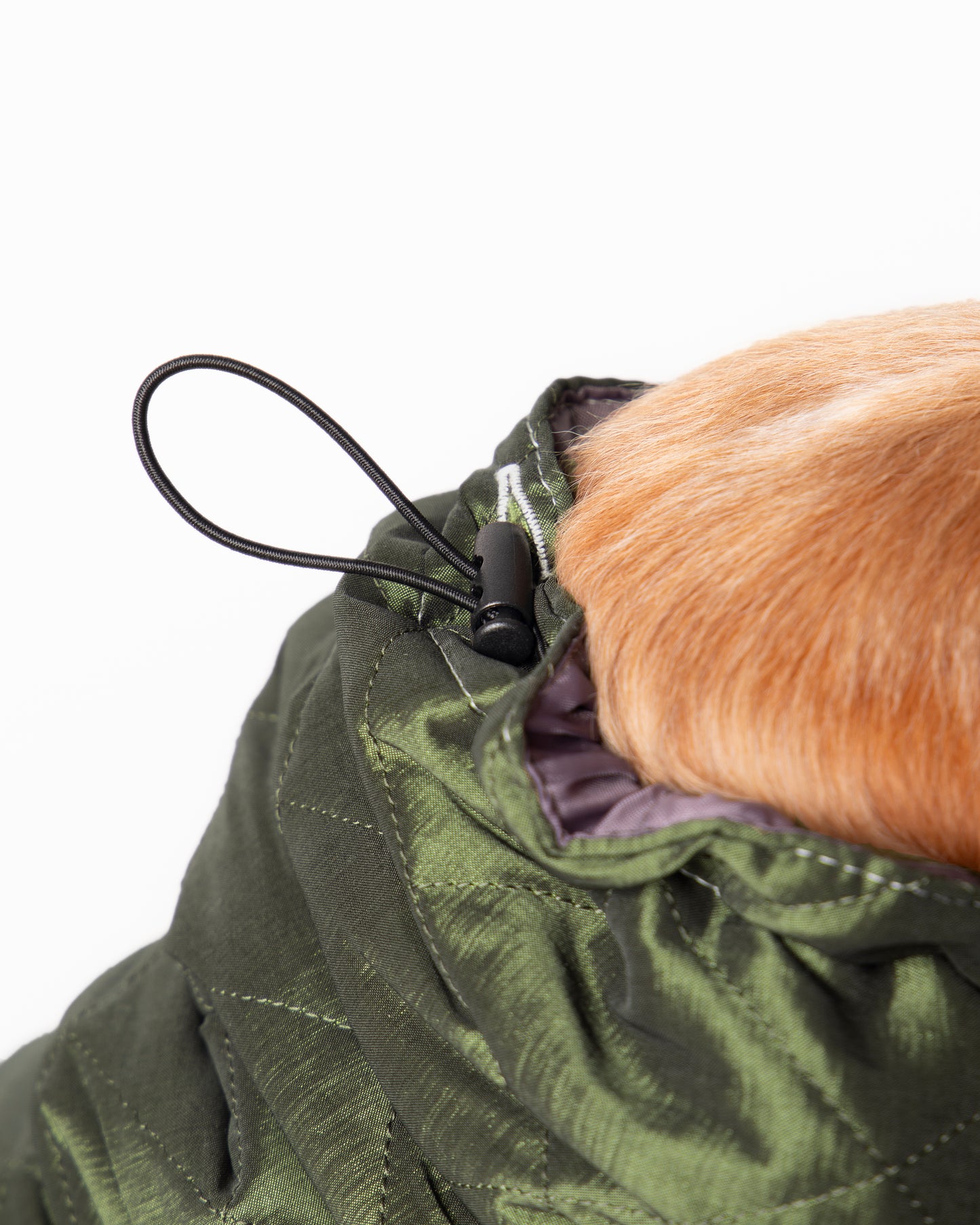 Water-Repellent Dog Raincoat with Adjustable Snood - Navy Small