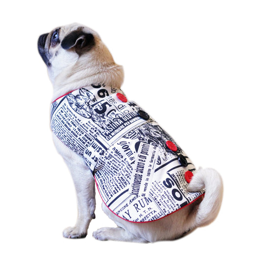 Paparazzi par Doggy Doo Little-1