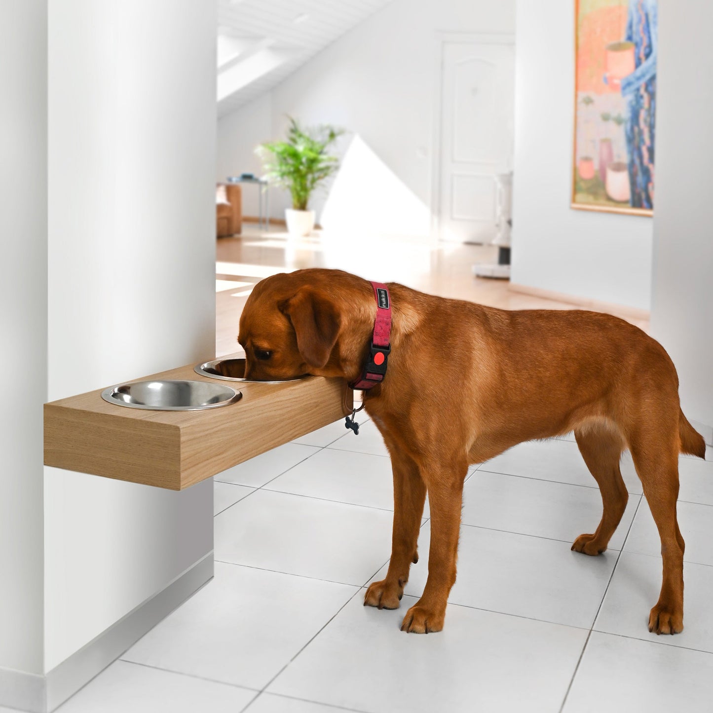 Support de bol pour chien surélevé en bois, 3 tailles pour chiens et chats-6