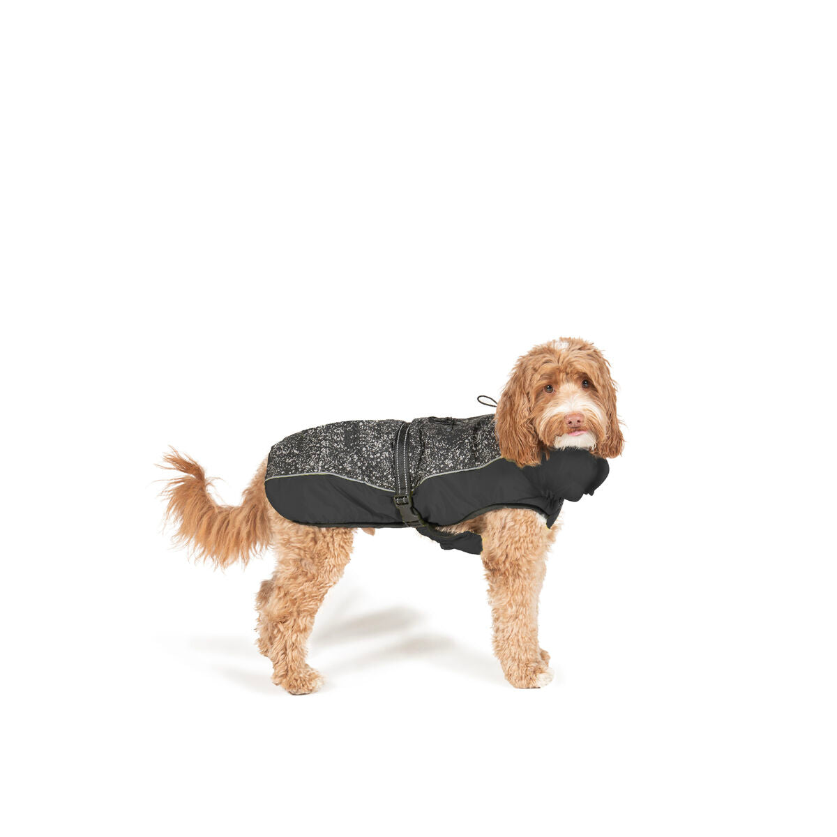 Manteau pour chien Dog Gone Smart Noir 30 cm-4