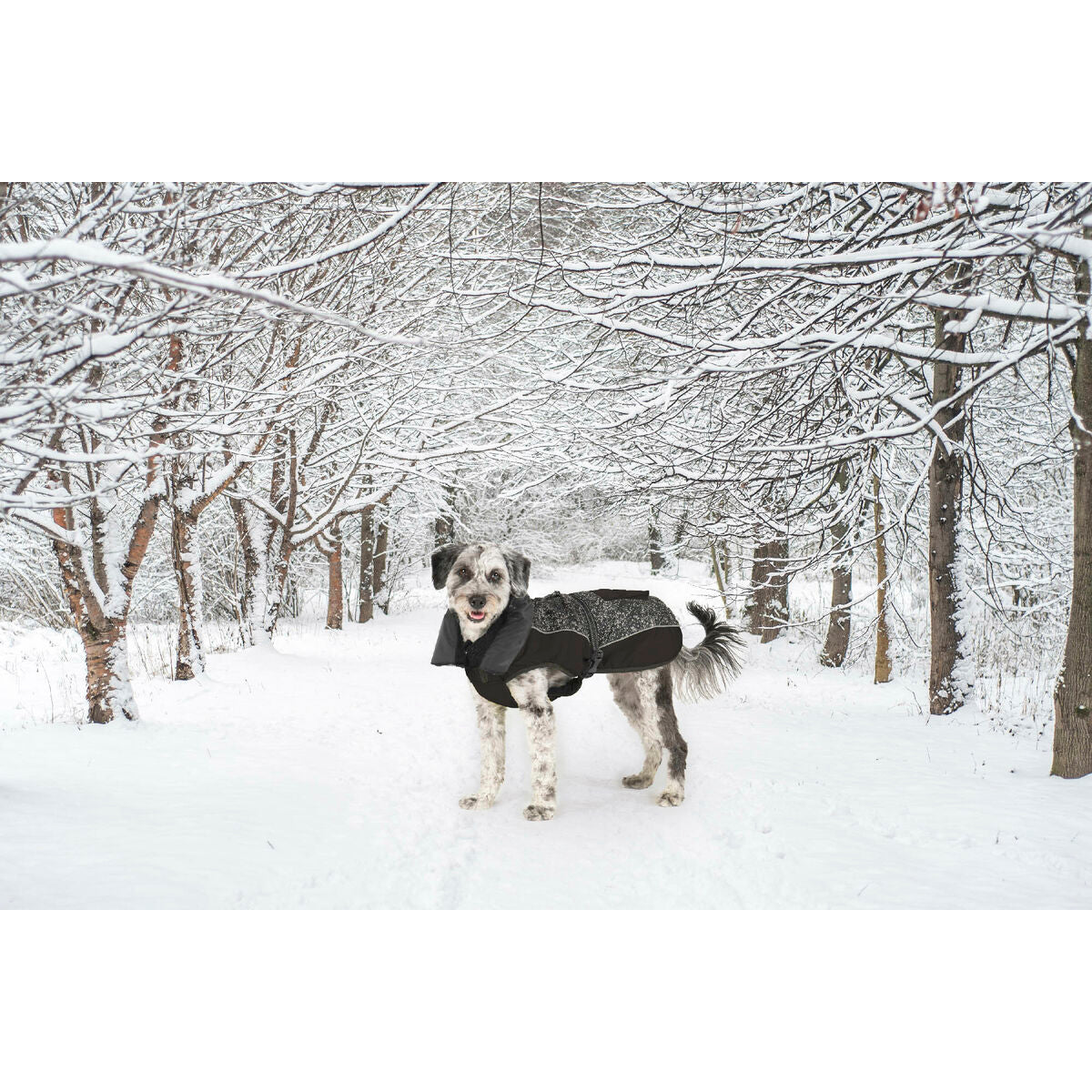 Manteau pour chien Dog Gone Smart Noir 30 cm-3