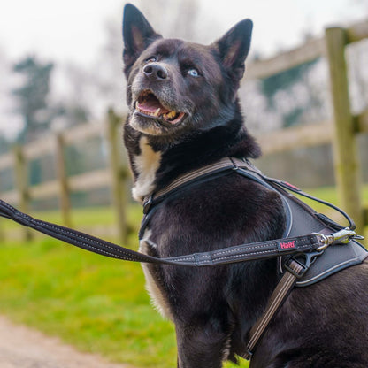 V5H24F9BD465C3B5696D58E920F0E73AB57R7245511P3