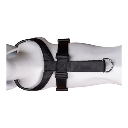 V11HC8AC0DC884B6411CDCAC2AB7BD5F8678R2354174P7