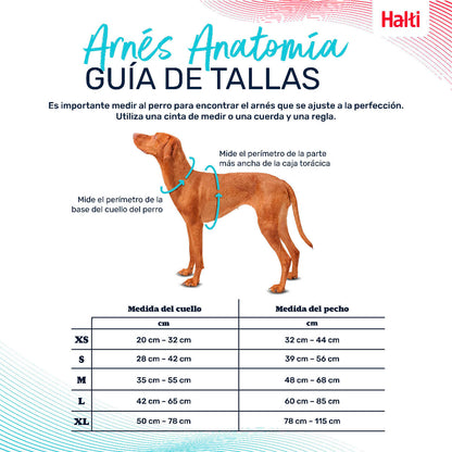 V6H14A93581D69A19D54CA3609F1C96C5B2R5328498P4