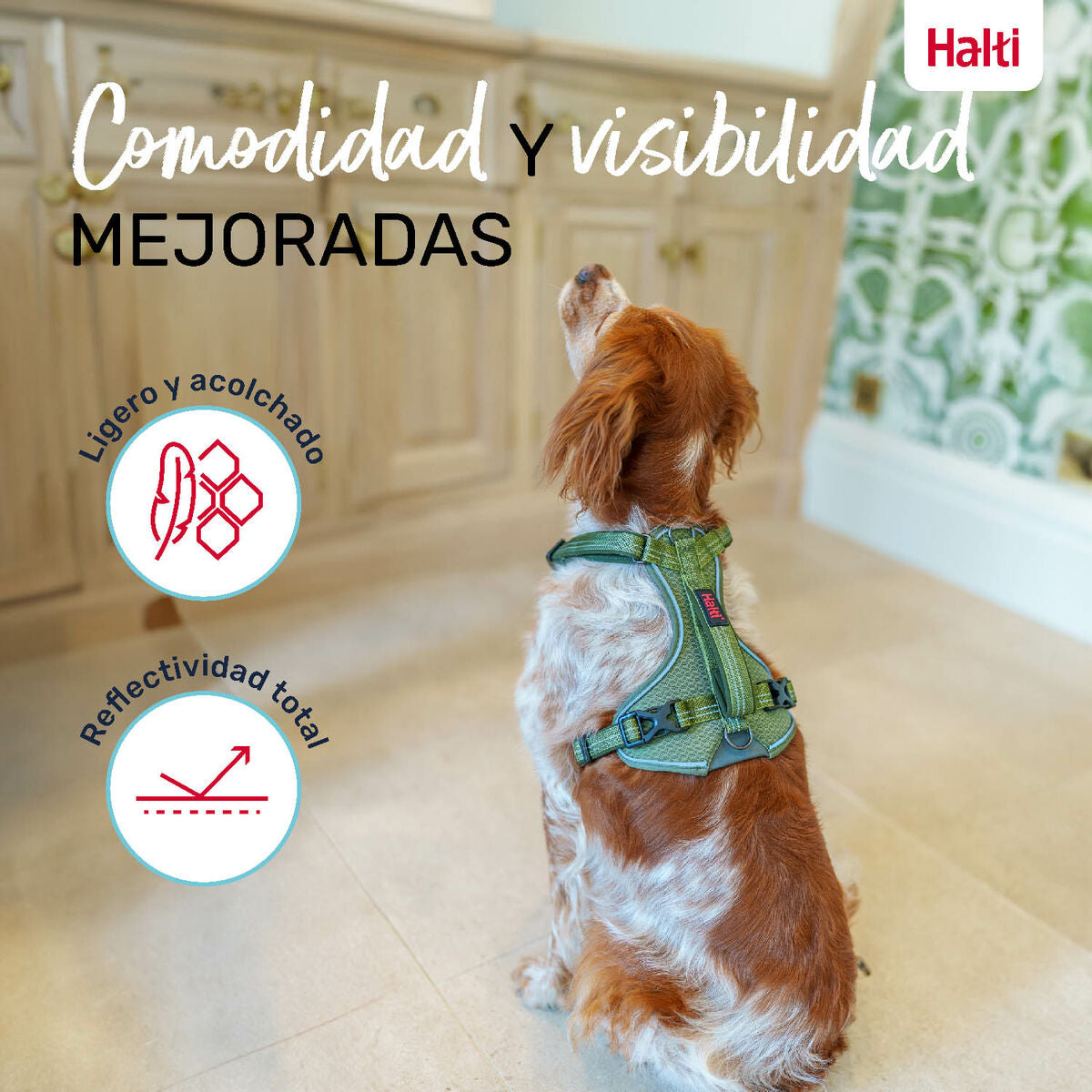 V6HB019E300221CCF6444B3DA6B48B1DC46R5328508P5