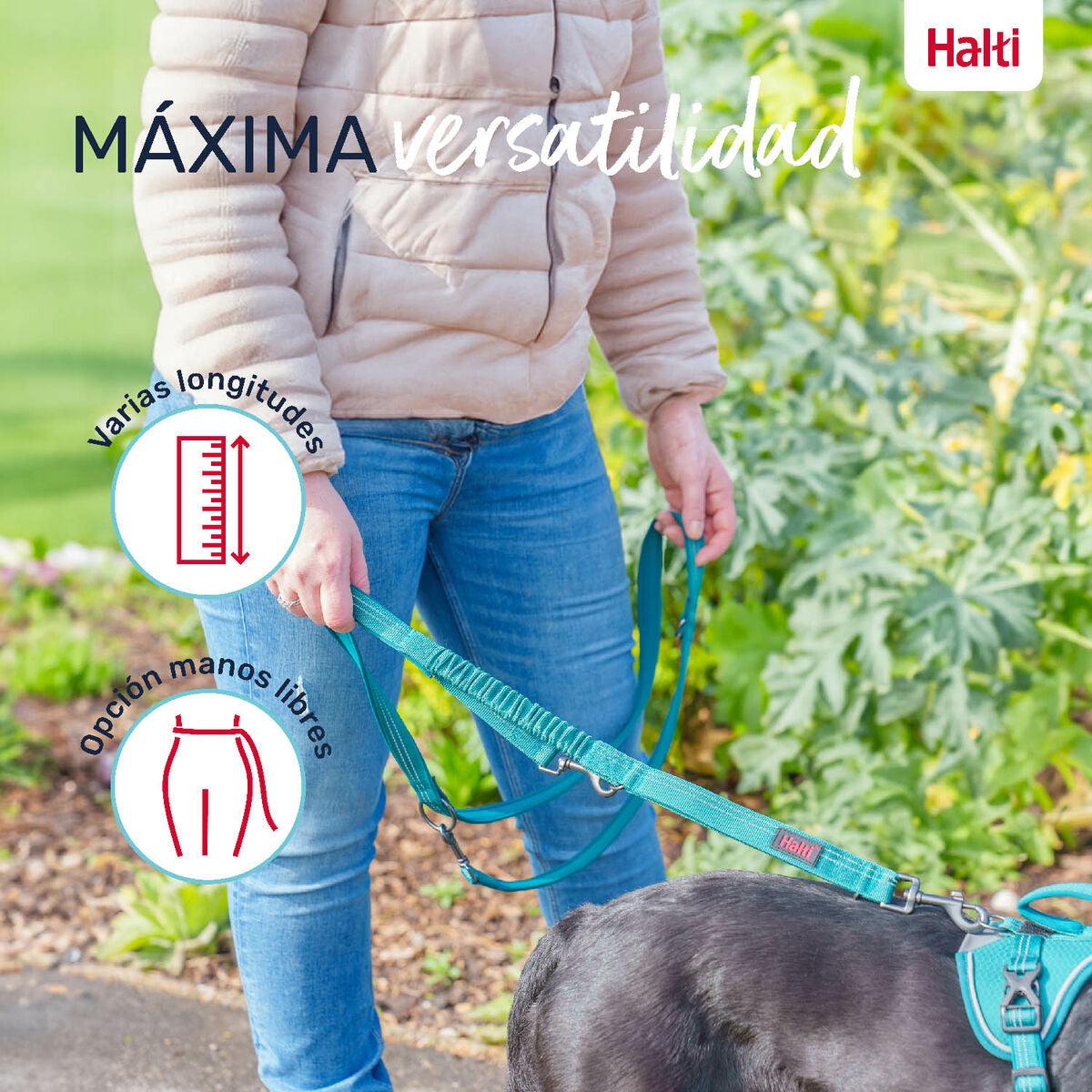 V6H5CBF74137D965FDC2A74EC82B0551C29R5328483P5