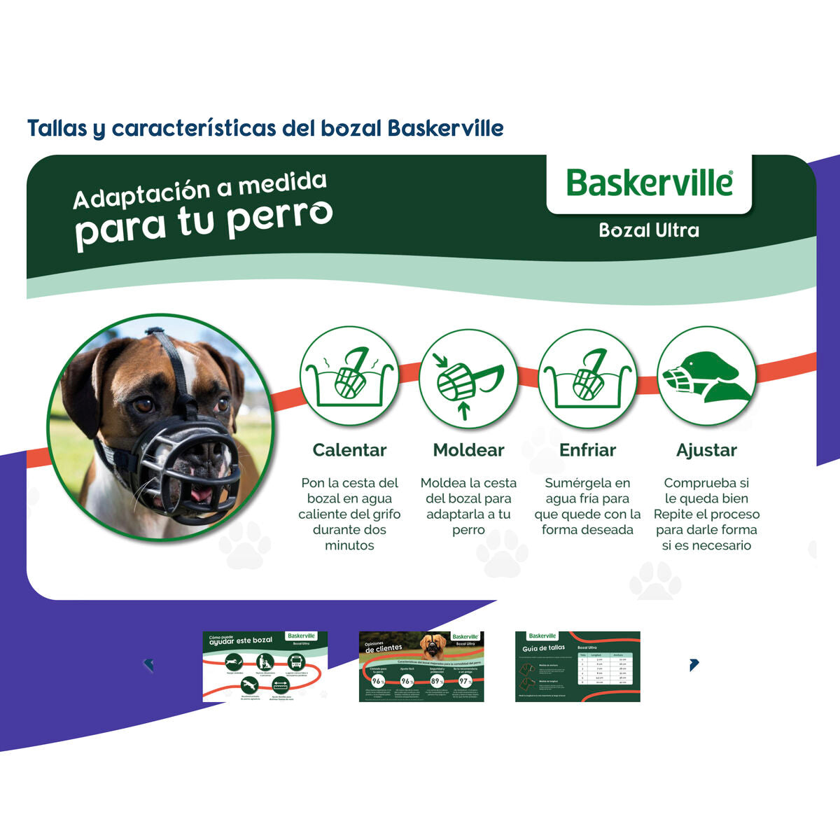 V6HAD295031A1120BBD4100ECDA188AC8D9R5327517P4