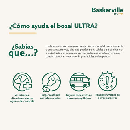 V6H084F78E3A4DA8F293929F8A70D443486R5327513P3