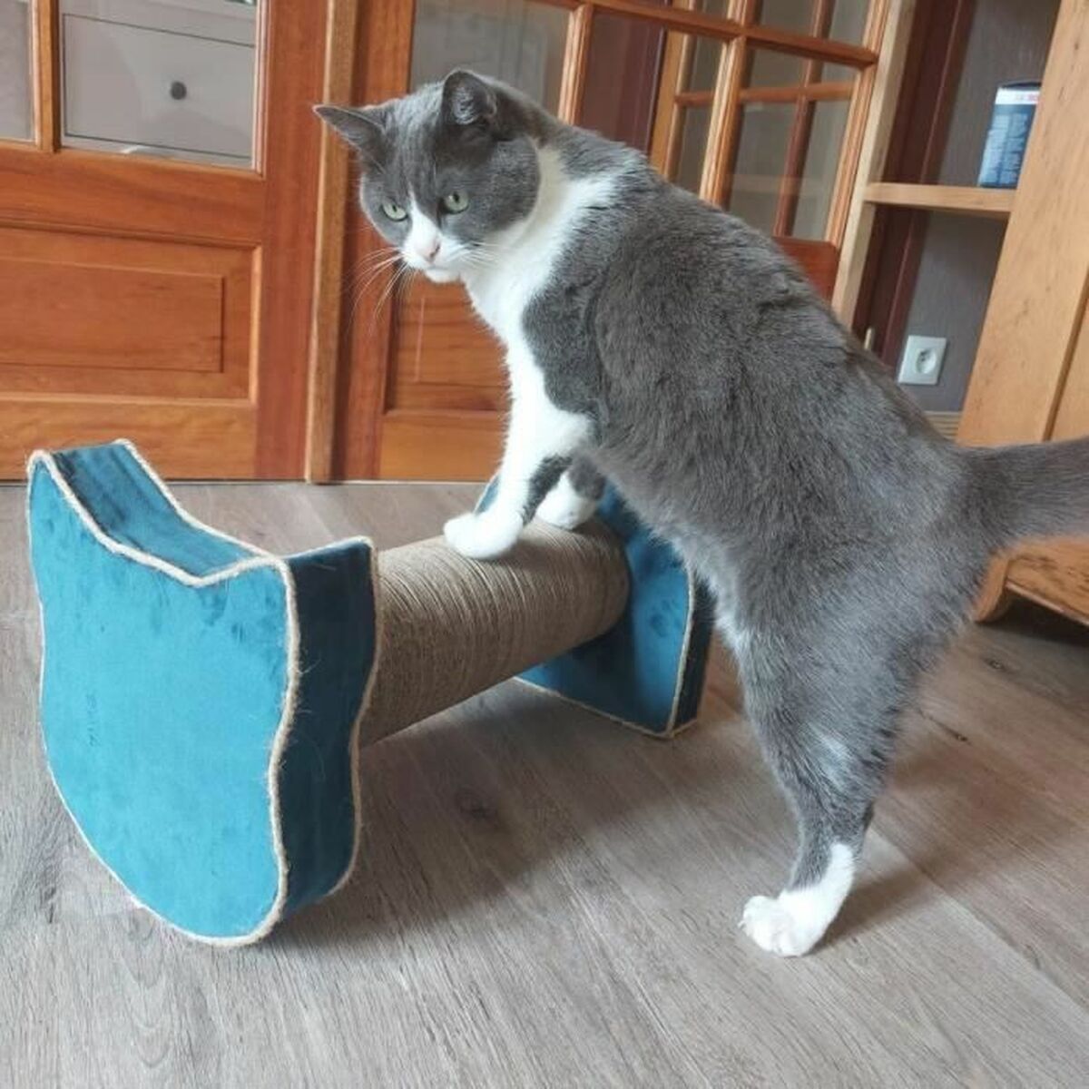 Krabpaal voor Katten Tirol Blauw Karton 44 x 22 x 21 cm-3