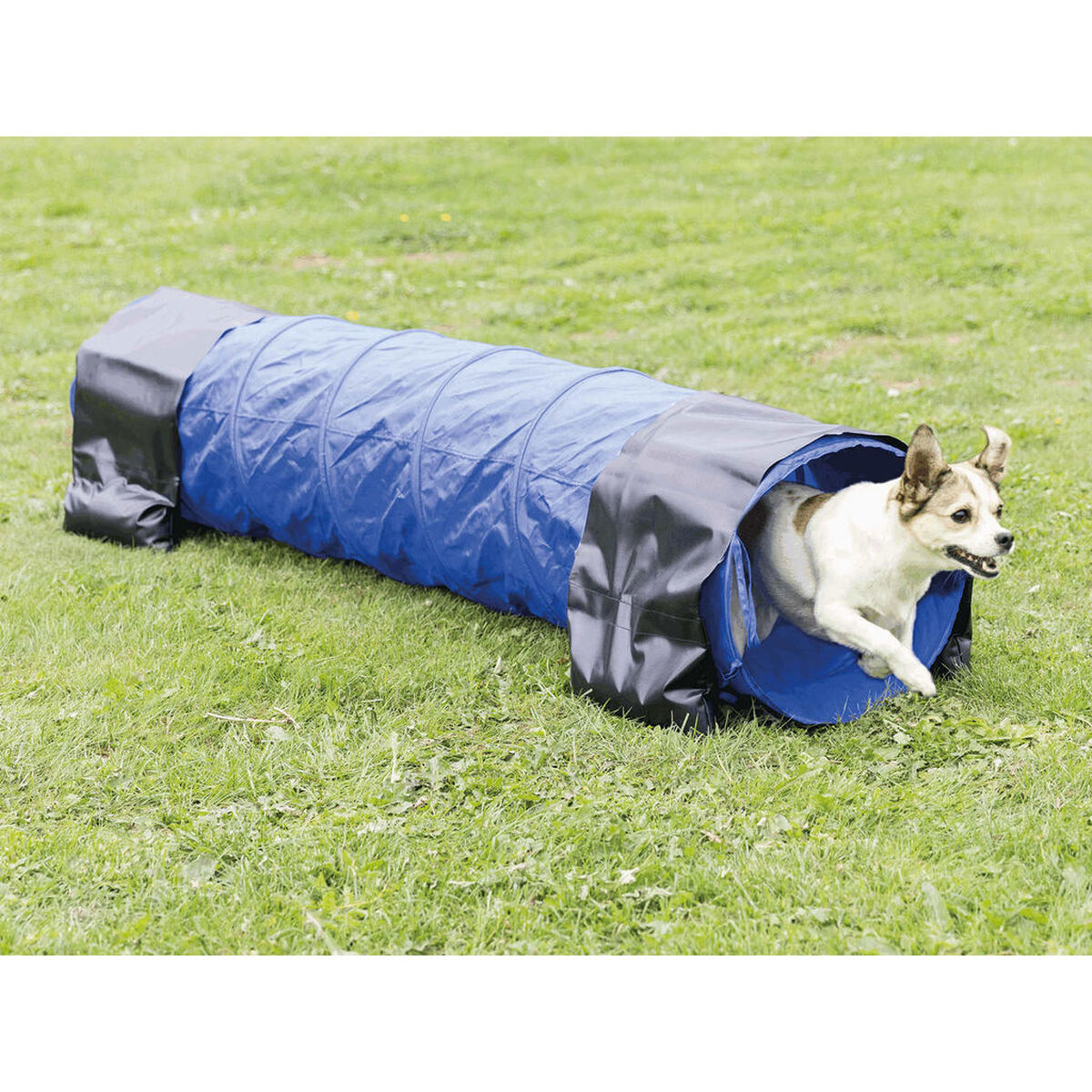 Tunnel de jeu Trixie-2