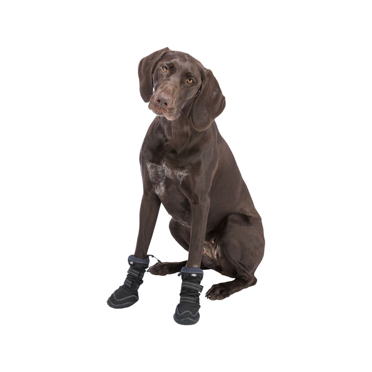 Jambe-jambe Trixie Noir XS/S-2