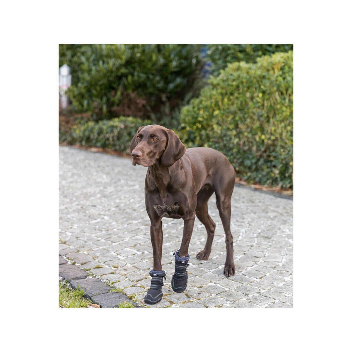 Déambulateur de jambe Trixie Noir XS/S-12