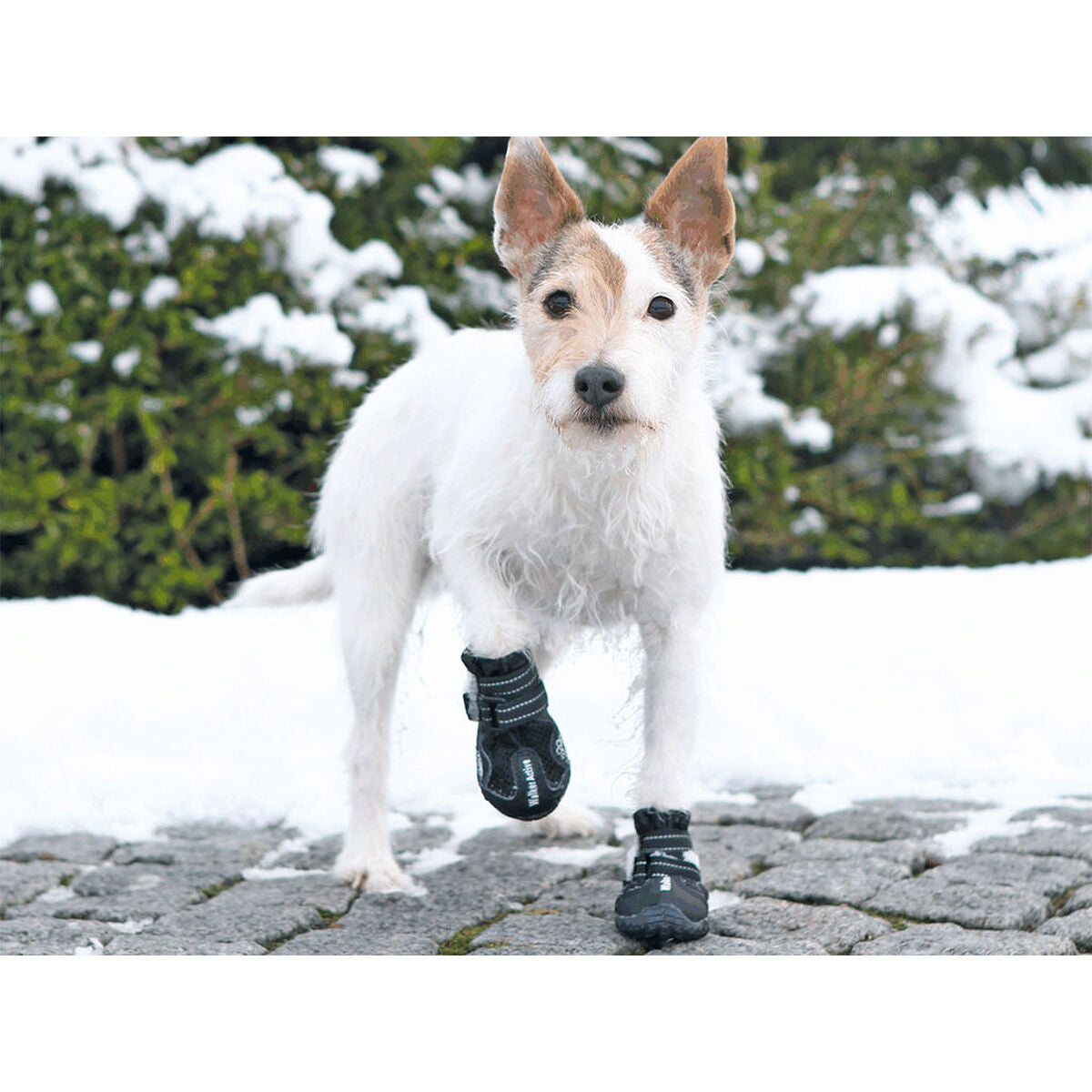 Manteau pour chien Trixie 19461 noir-4