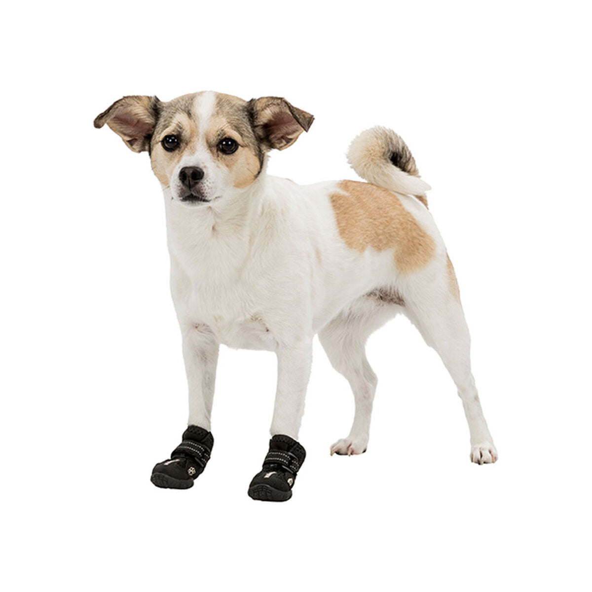 Manteau pour chien Trixie 19461 Noir-2