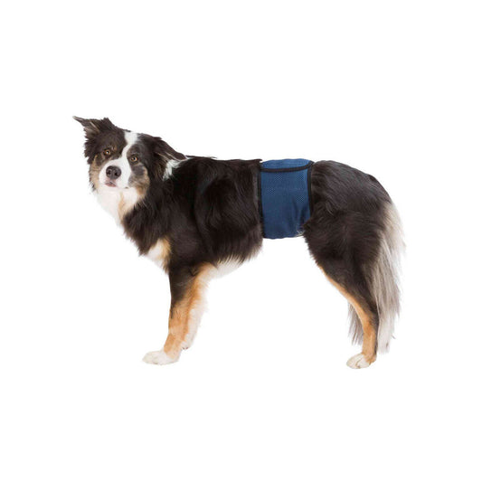 Protecteur d’incontinence Trixie 55-65 cm Mâle Plug Abdomen-0