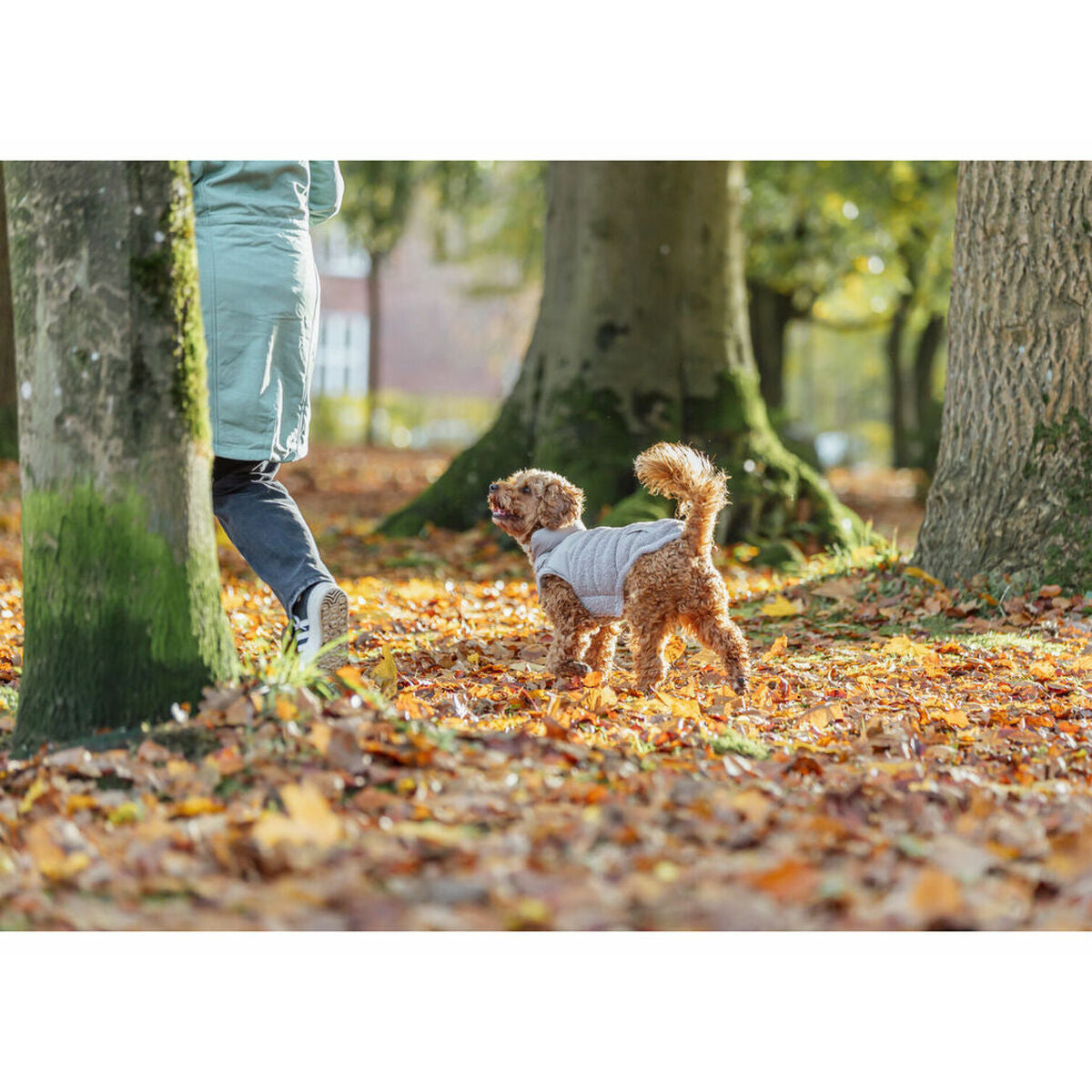 Hondenjas Trixie Grijs XXS-2