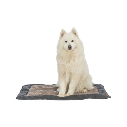 V4H1A13EE4D868C1EA0C99AABB119FF48BBR7518986P3