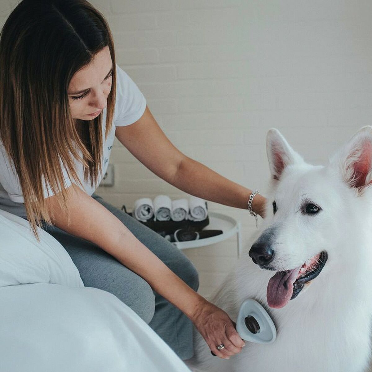 V11H68EAF44D3685C05FBCA0DC267522269ER3618607P2