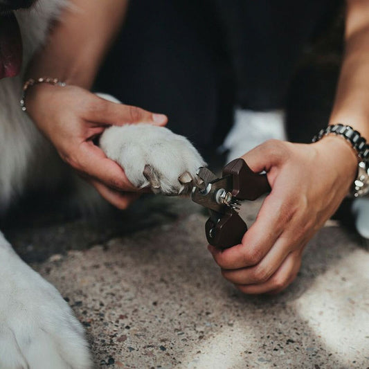 V11H5AA93578AAA0C7AB80F0782DA6E0C1C6R5597723P2