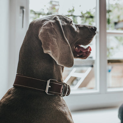 V10H24F628AE1CC76376A9D53A9F92048E2DR1561426P3