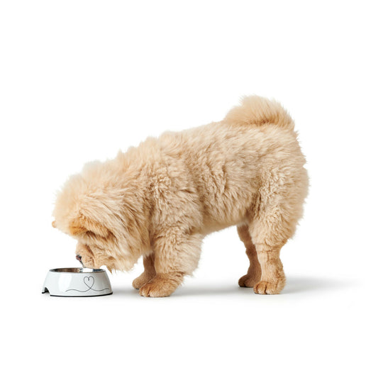 V5H68DE278E11D5F6DEA536399E08B32857R5574386P2