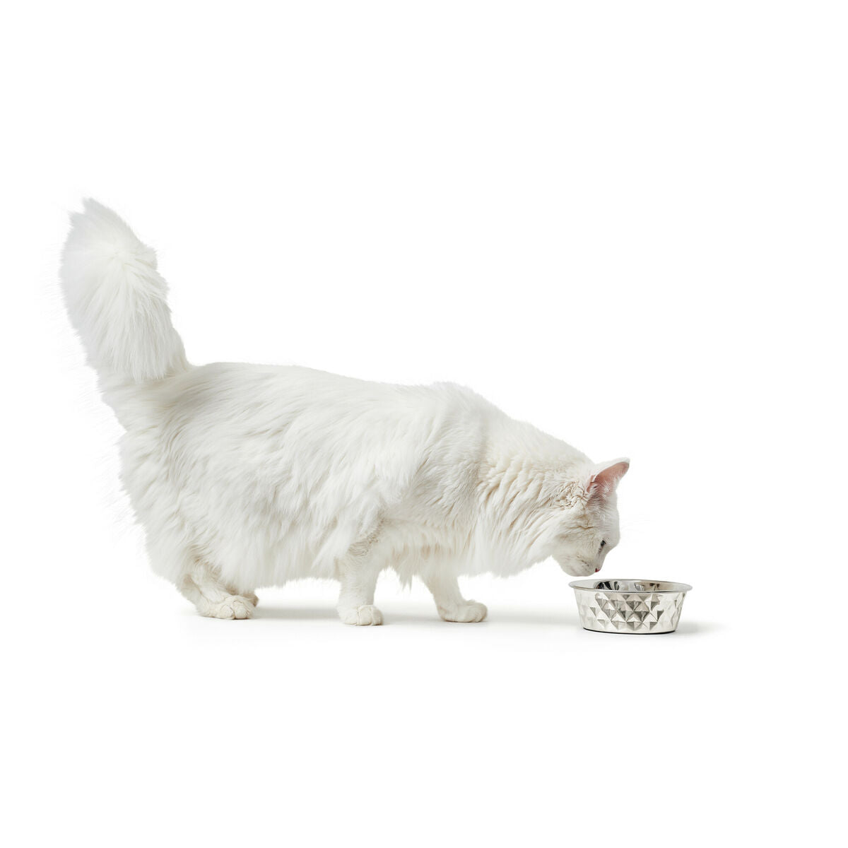 Hondenvoerbak Hunter Silicone Roestvrij staal 1,05 L-5