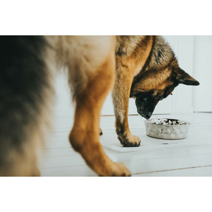 V7H63D8D19FD3505D7929975279912502E7R4438197P5