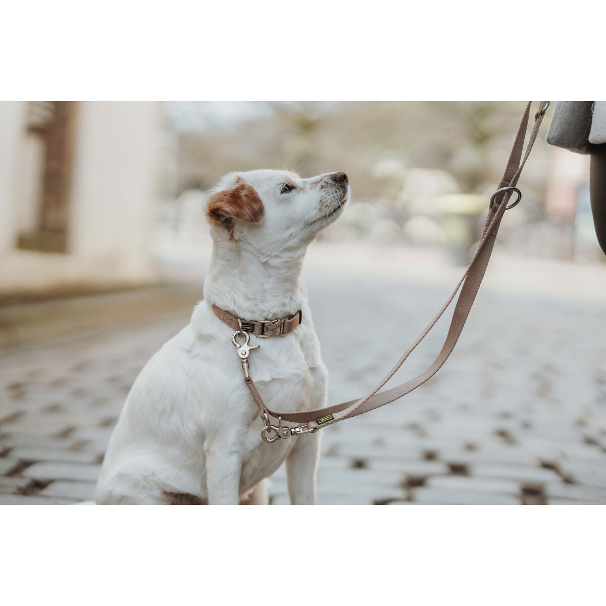 V5H082ACD1EDA7ADAC26BDA766CA51582BDR5582608P4