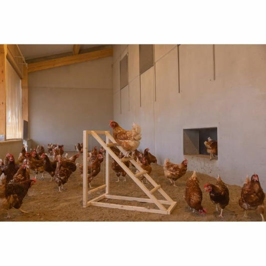 Escalier Kerbl Chicken-1