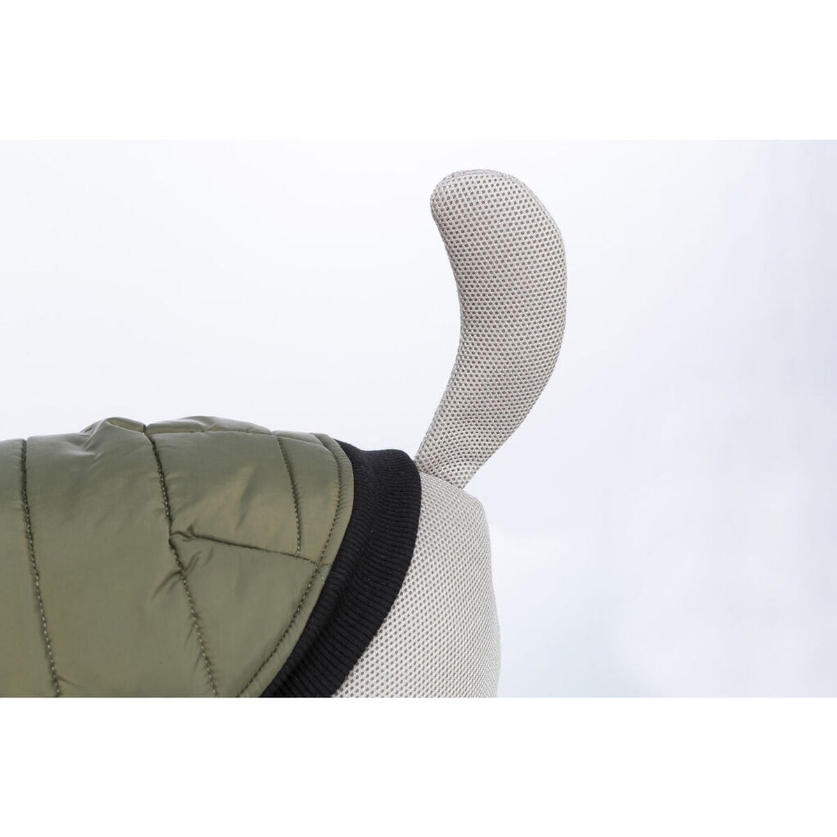 Dog Coat Trixie Arlay Dark green XXS-4