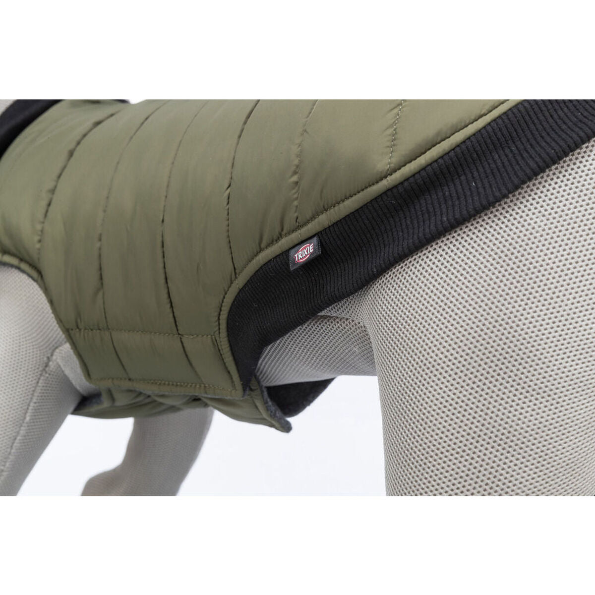 Dog Coat Trixie Arlay Dark green XXS-8