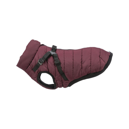 Manteau pour chien Trixie Pirou Marron S-0