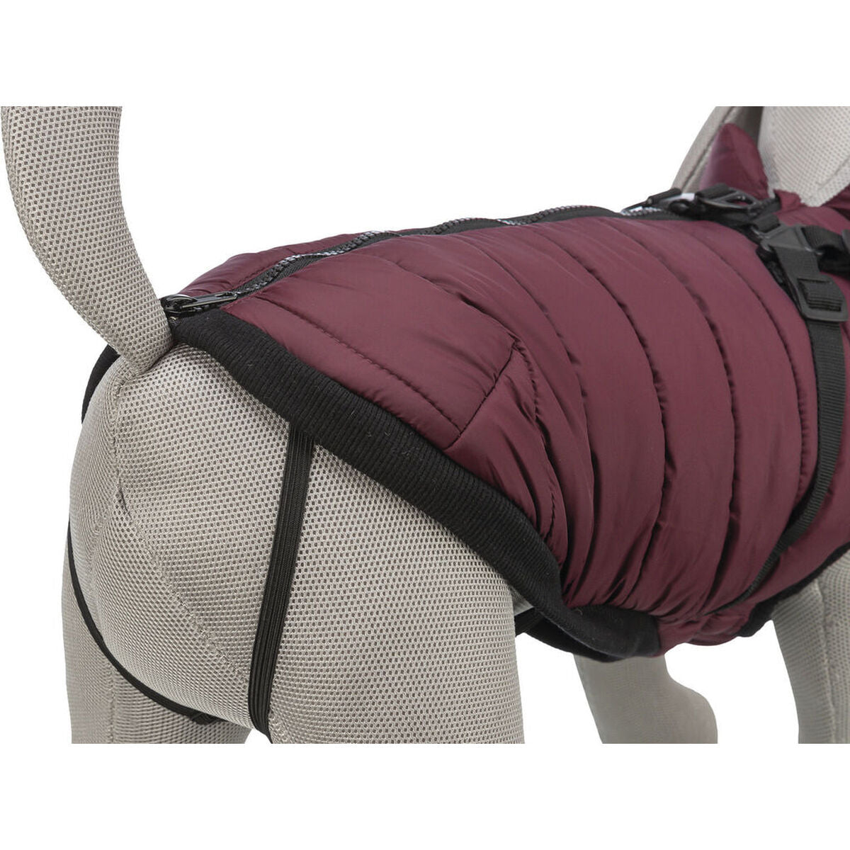 Manteau pour chien Trixie Pirou Maroon S-2