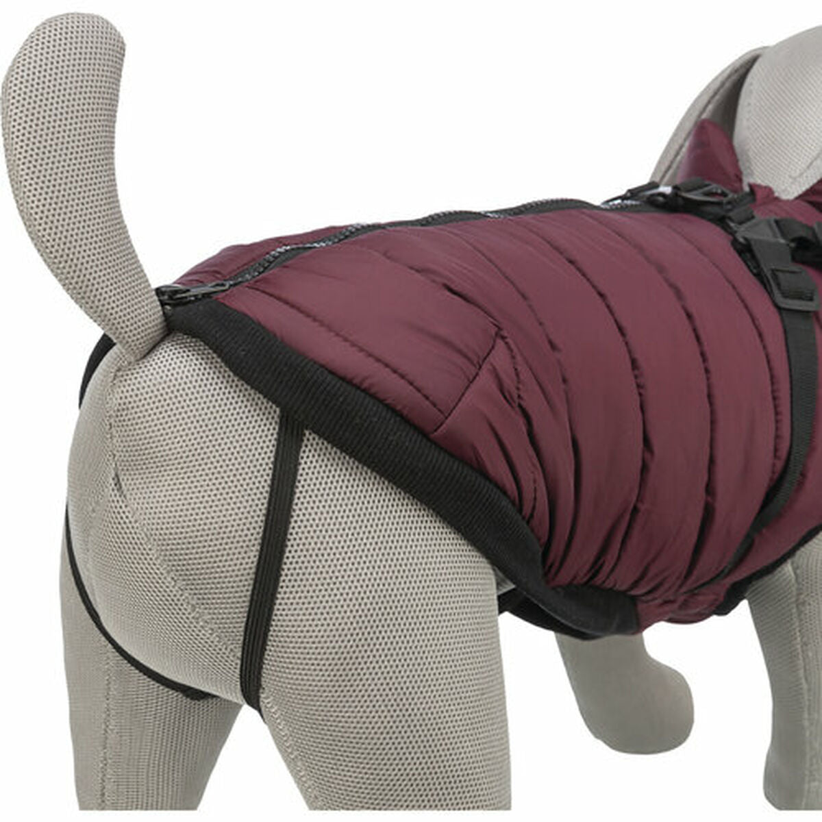 Manteau pour chien Trixie Pirou Maroon S-1